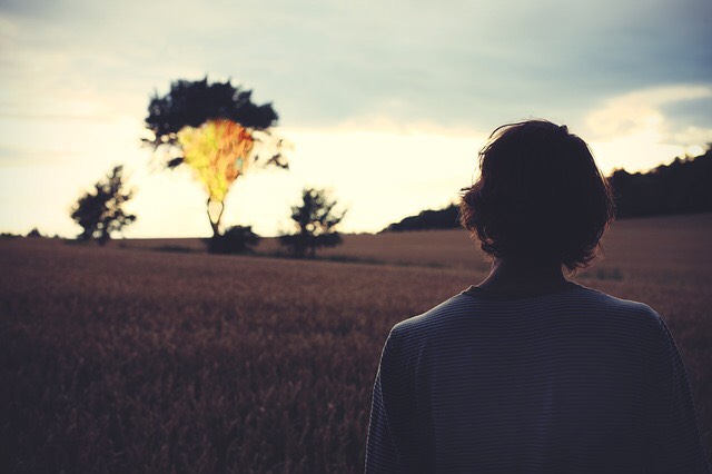 El sentido que le vino a dar Cristo a nuestra vida