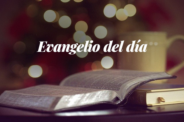 Evangelio del día: lectura del santo evangelio según san Juan (4,43-54)