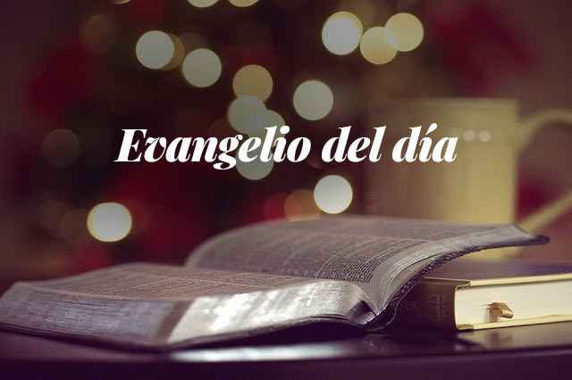 Evangelio del día: Evangelio según San Lucas 10,21-24