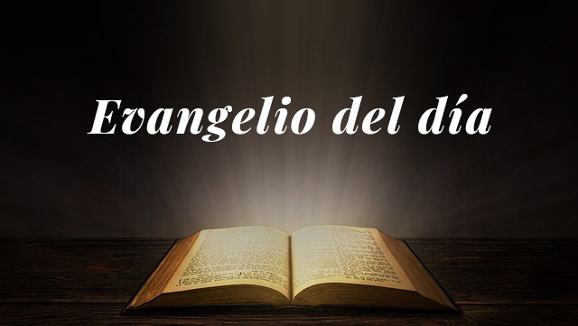 Evangelio según San Marcos 3,7-12.