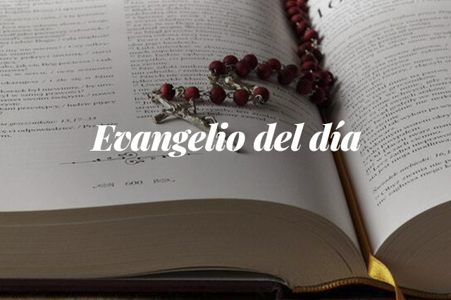Evangelio del día: Evangelio según San Lucas 2,22-40