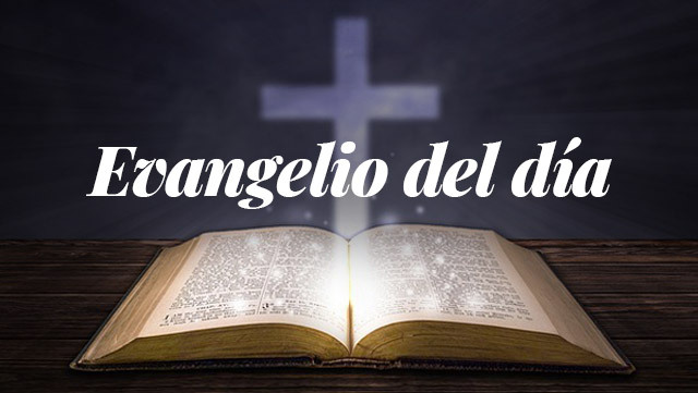 Evangelio del día: Evangelio según San Juan 15,26-27.16,1-4a