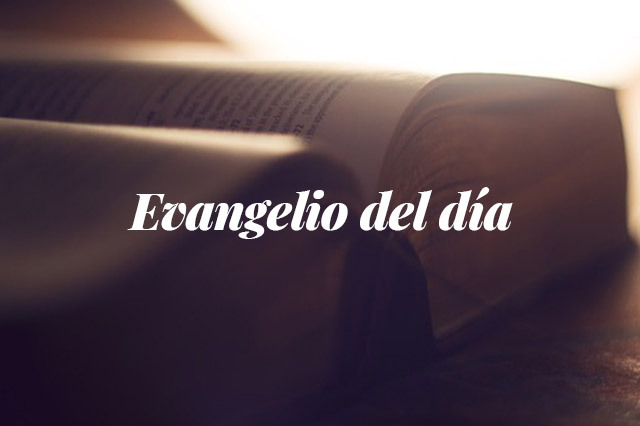 Evangelio del día: Evangelio según San Marcos 3,22-30