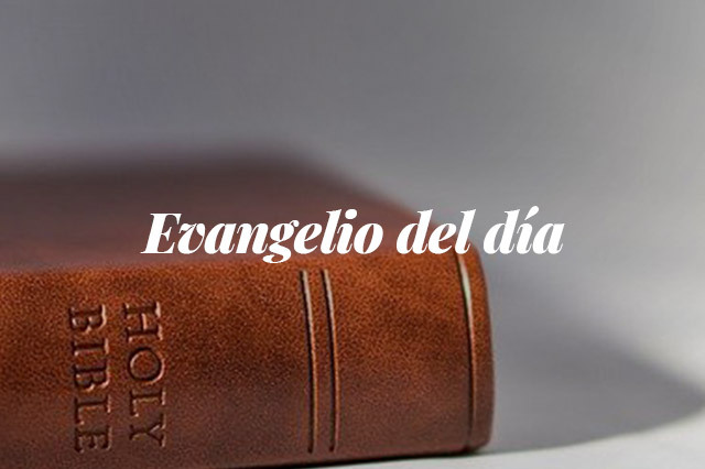 Evangelio del día: Evangelio según San Marcos 3,13-19