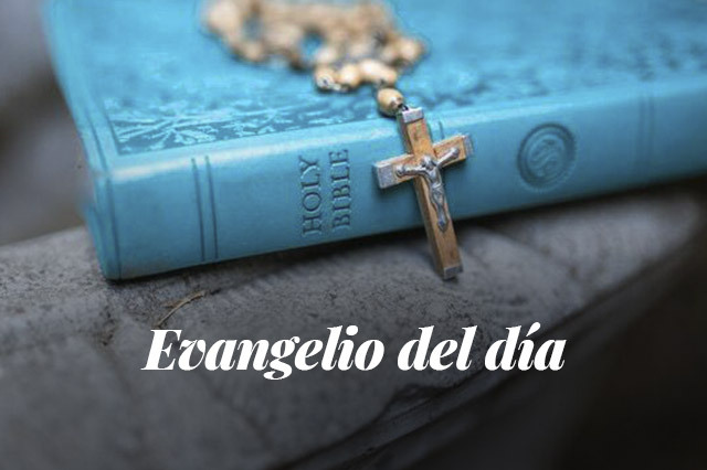 Evangelio del día: Evangelio según San Marcos 2,1-12