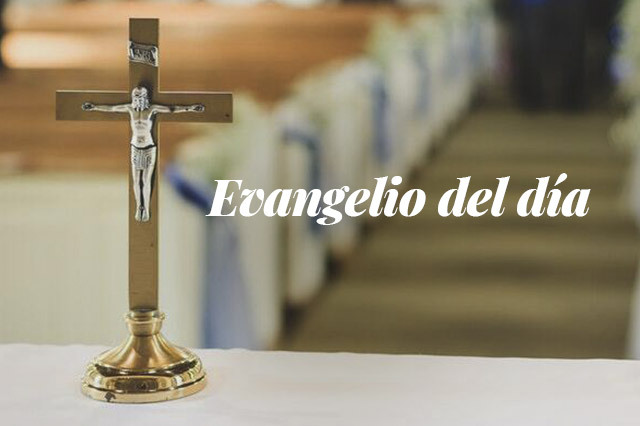 Evangelio del día: Evangelio según San Lucas 4,38-44
